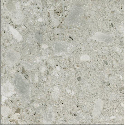 Ceralto Valerio Mini Vloertegel - 59.7x59.7cm - 9.0mm - gerectificeerd - Ceppo di gre