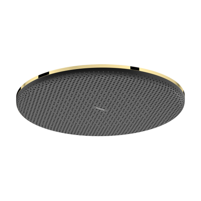 Hansgrohe Raindance alive pomme de douche 300 1 jet EcoSmart Polished Gold Optic (or)