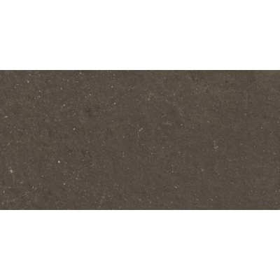 Ceralto Karsio Rock Carreau de sol - 60x120cm - 9.0mm - rectifié - Noble brionne