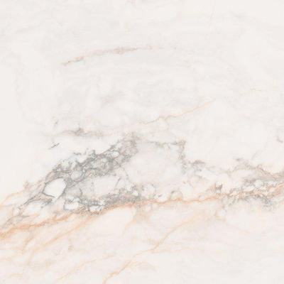 SAMPLE Ceralto Regalia Luxe 600X600 Marbles Pisa Gold Gep