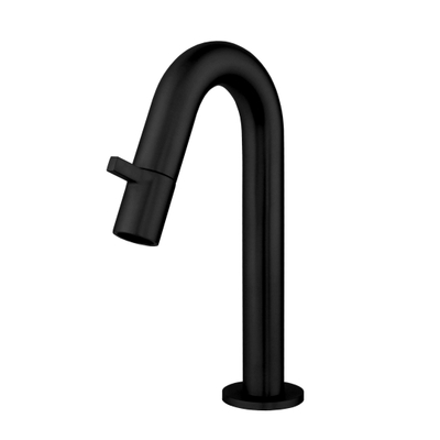Best Design Nancy Robinet de WC avec mécanisme céramique 21cm noir mat
