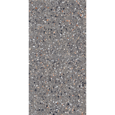 ÉCHANTILLON Terravito Damico Carreau de sol et de mur - 60x120cm - rectifié - mat Anthracite