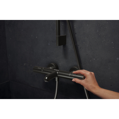 Hansgrohe Ecostat Fine opbouw badthermostaat Brushed Black Chrome