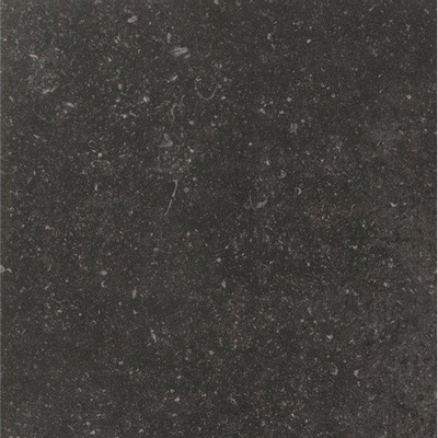 ÉCHANTILLON Douglas Jones Carrelage de sol et de mur 80x80cm 10mm rectifié R10 porcellanato Mystere