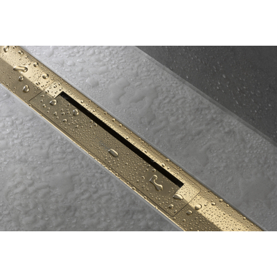 Hansgrohe RainDrain Flex Douchegoot - 70cm - inkortbaar - polished gold optic