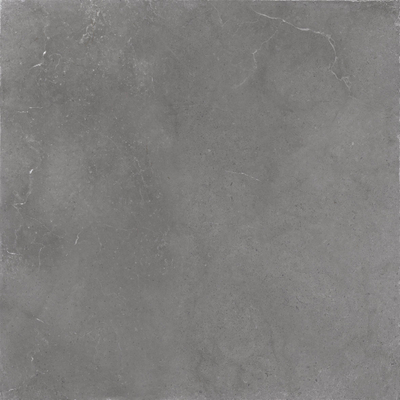 ÉCHANTILLON Terravito Cozino Carrelage de sol et de mur - 60x60cm - rectifié - gris foncé mat