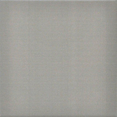ÉCHANTILLON Terravito Besano carreau mural et de sol - 20x20cm - 8.5mm - Carré - Gris mat