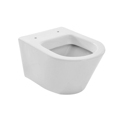 Wiesbaden Vesta hangtoilet – verdekte bevestiging – diepte 52 cm – met softclose zitting – glans wit
