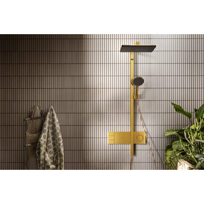 Hansgrohe Raindance alive Showerpipe - 210/340 2jet - ecosmart - thermostatische pol.gold - thermostaat - gepolijst goud (goud)