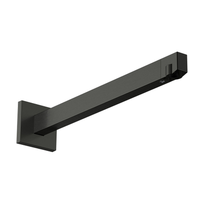 Hansgrohe Raindance alive Douchearm - 39cm - geborsteld zwart chroom (antraciet)