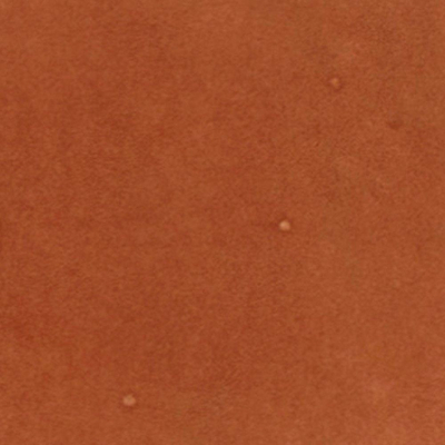 Ceralto Dorsena Rock Wandtegel - 10x10cm - 10.0mm - Corallo