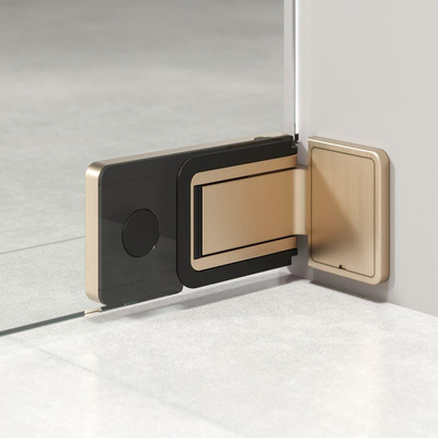 Sealskin Pure Porte de niche - 90x200cm - verre transparent - 8mm - traitement anticalcaire - or brossé