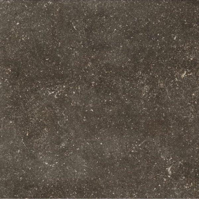 SAMPLE Douglas Jones Elemental Carreau de sol et de mur 80x80cm 10mm rectifié R10 grès cérame Desir