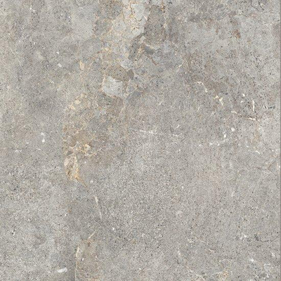 Ceralto Palazzo Vein Vloertegel - 100x100cm - 8.5mm - gerectificeerd - Evergreige
