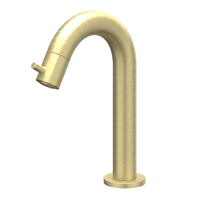 IVY Bond Fonteinkraan - gebogen - opbouw - laag - Geborsteld mat goud PVD