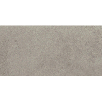 ÉCHANTILLON Terravito Solido carreau mural et de sol - 29.6x59.5cm - 8mm - rectifié - Aspect pierre naturelle - Gris