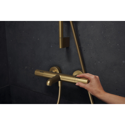Hansgrohe Ecostat Fine opbouw badthermostaat Brushed Bronze
