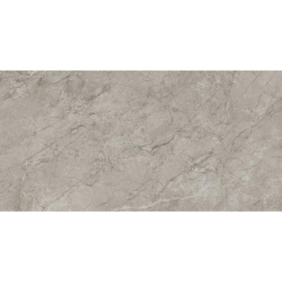 Atlas Concorde Marvel Meraviglia Vloertegel - 59.5x119.5cm - 9.0mm - gerectificeerd - Silver majestic