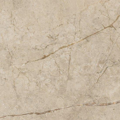 Ceralto Maniero Design Vloertegel - 60x60cm - 9.0mm - gerectificeerd - Shade river
