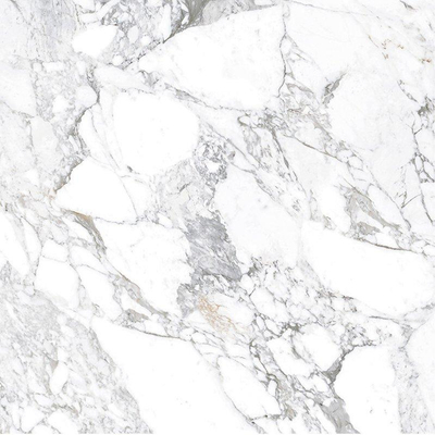 Terravito Covella wand- en vloertegel - 120x120cm - 9mm - gerectificeerd - Grijs