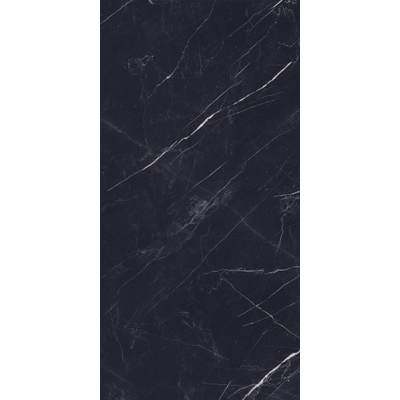 ÉCHANTILLON Terravito Dareno Carrelage de sol et de mur - 60x120cm - rectifié - brillant Noir