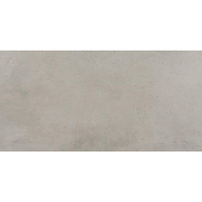 Porcelaingres Urban Vloer- en wandtegel 30x60cm 8mm gerectificeerd R10 porcellanato Grey