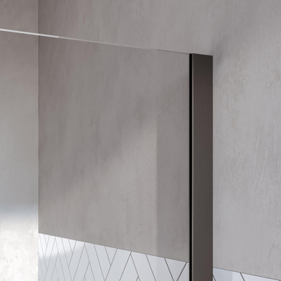 BRAUER Oblivion Douche à l'italienne - 50x200cm - revêtement verre - verre clair - PVD gunmetal brossé
