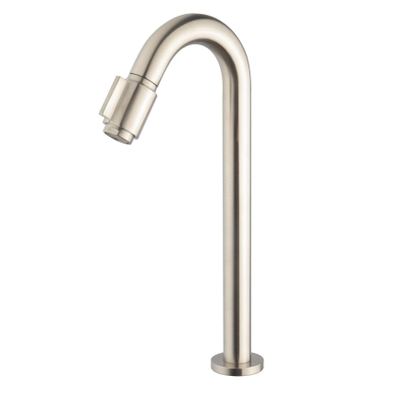 Wiesbaden Caral Victoria fonteinkraan XL 1/2'' geborsteld staal PVD