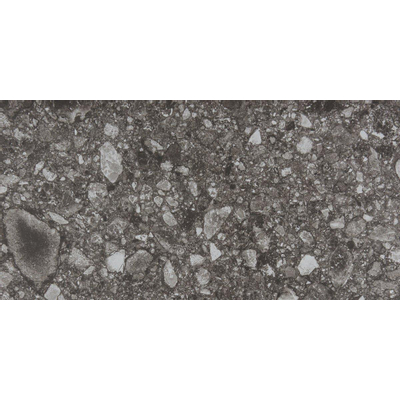 Vtwonen Carrelage de sol et de mur Composite 30x60cm 9mm rectifié R10 porcellanato Noir Anthracite