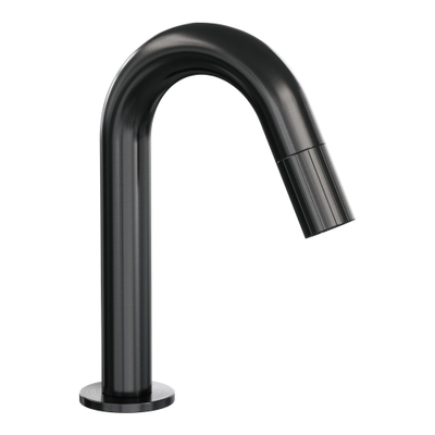 BRAUER Stripe Robinet de fontaine - apparent - bec courbé - gunmetal brossé PVD