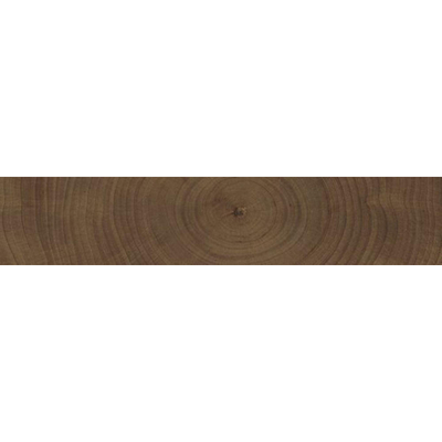 SAMPLE vtwonen Tegels Woodcirkle Vloertegel - 5.3x30cm - 9.5mm - Wenge