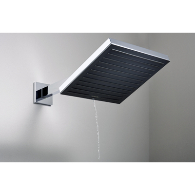 Hansgrohe Raindance alive bras de douche - 39cm - chrome