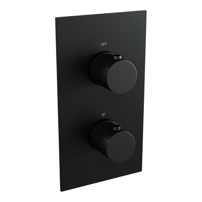 BRAUER Stripe Thermostatische Inbouw Regendouche - 3-weg - rechthoekig - SET 21 - 25cm douchekop - plafondarm - staaf handdouche - doucheslang - geïntegreerde glijstang - mat zwart