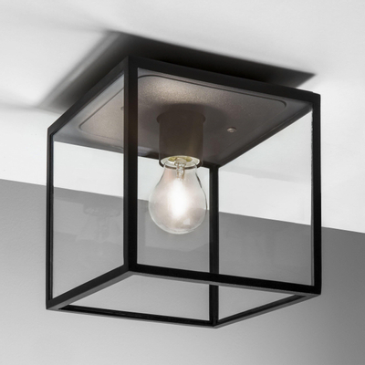 Astro Box Buitenplafondlamp exclusief E27 lichtbron Zwart