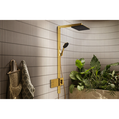 Hansgrohe Raindance alive Showerpipe - 210/340 2jet - ecosmart - thermostatische pol.gold - thermostaat - gepolijst goud (goud)