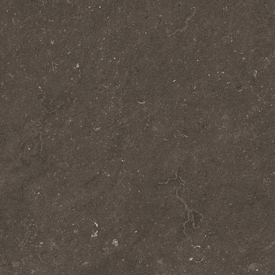 Ceralto Karsio Rock Vloertegel - 60x60cm - 9.0mm - gerectificeerd - Noble brionne
