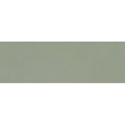 ÉCHANTILLON Terravito Alerno carreau mural - 40x120cm - 7mm - rectifié - Vert