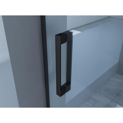 Wiesbaden Slide Porte de douche coulissante double pour niche 120x200cm verre clair NANO 8mm profilé noir mat