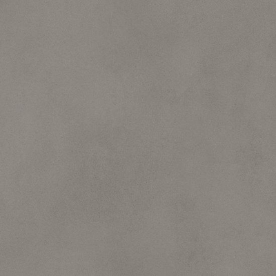 Douglas Jones Province Carrelage de sol et de mur - 5x20cm - 10mm - rectifié - Porcellanato - Taupe (Taupe)