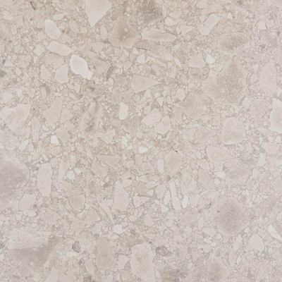 Vtwonen Carrelage composite sol et mur 60x60cm 9mm rectifié R10 porcellanato Gris clair
