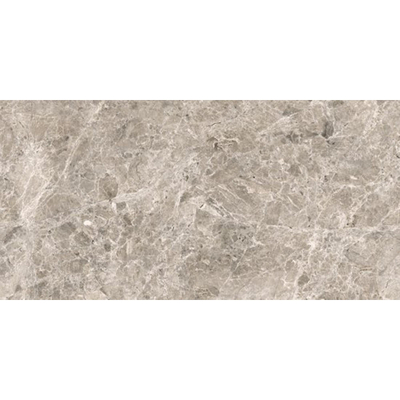 Ceralto Lazaro Marble Carreau de sol - 150x75cm - 6.0mm - rectifié - gris
