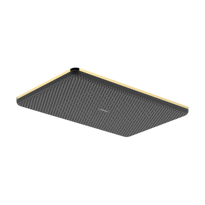 Hansgrohe Raindance alive hoofddouche 210/340 1 jet EcoSmart polished gold