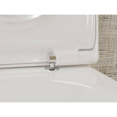 Hansgrohe EluPura S Toiletzitting - met deksel - met top fix - wit