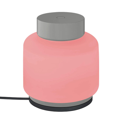 Blomus FAWN Lampe - 12x12x13 - sur pied - LED - gris foncé