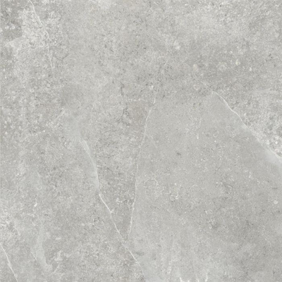 ÉCHANTILLON Terravito Arluna carrelage murale et de sol - 60x60cm - rectifié - Effet béton - Acero mat (gris)