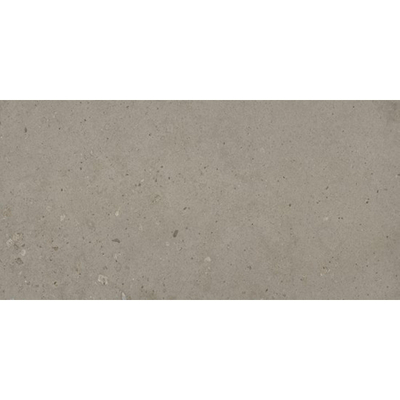 Ceralto Elaris Oak Vloertegel - 60x120cm - 9.0mm - gerectificeerd - Sabbia argilla