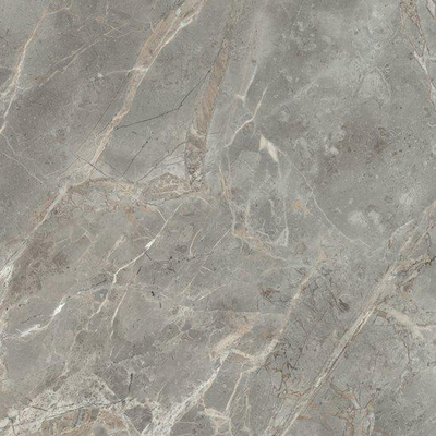 Ceralto Alabro Vein Vloertegel - 60x60cm - 10.0mm - gerectificeerd - Gris