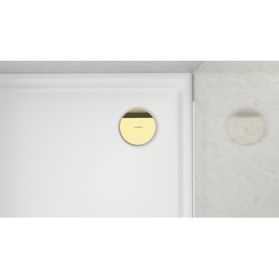 Hansgrohe RainDrain Staro Kleurset - polished gold optic