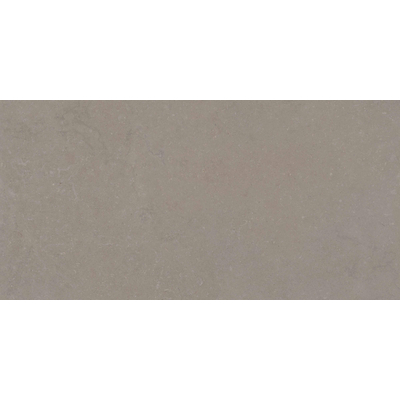Terravito Selvico Carrelage parquet céramique mural et sol - 60x120cm - 9mm - Greige