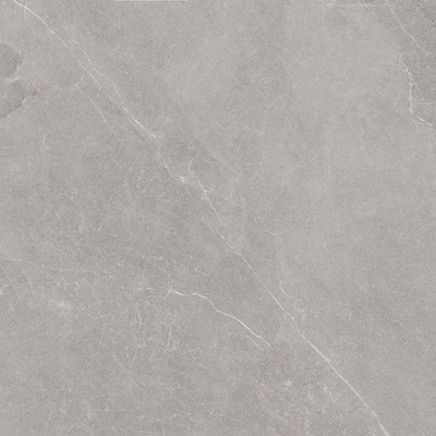 ÉCHANTILLON Ceralto Marea Slate 600X600 Shale Greige